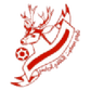 Masfut logo