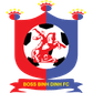 Binh Dinh logo