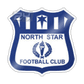 North Star logo